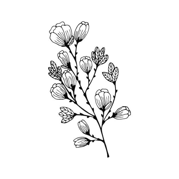 Hand drawn a branch of a flowering tree