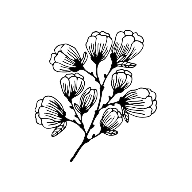 Hand drawn a branch of a flowering tree