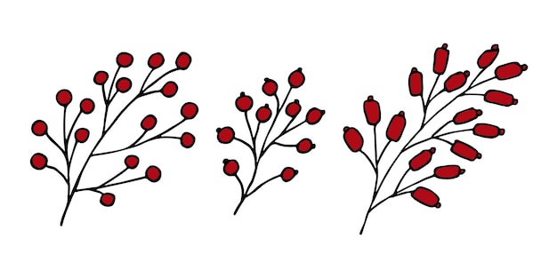 Hand drawn branch with berries clipart Christmas doodle set Winter design elements