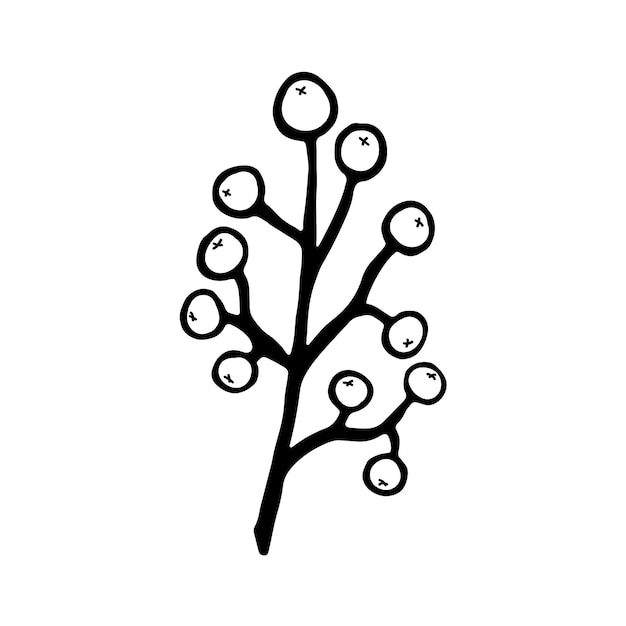 Hand drawn branch with berries isolated on white background. decorative doodle sketch illustration. vector element.