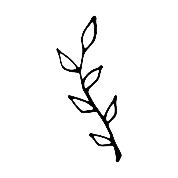 색 배경 에 고립 된 잎 과 함께 손 으로 그려진 가지 도들 터 일러스트레이션