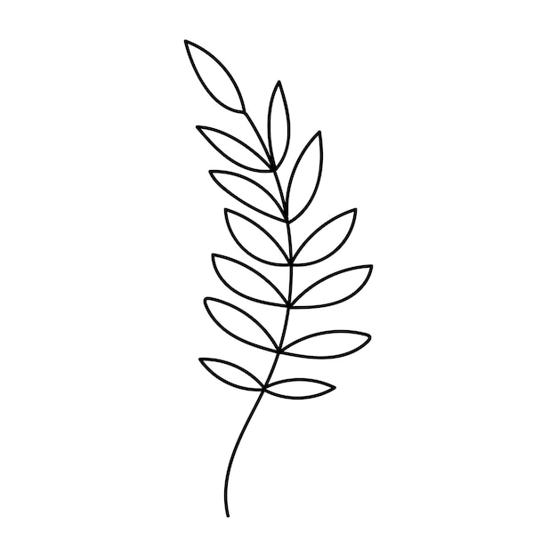 Vector hand drawn branch with leaves