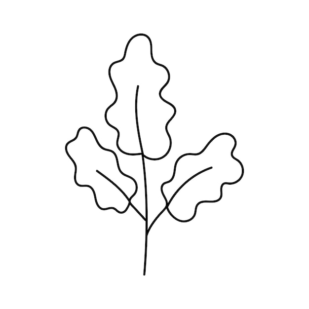 Hand drawn branch with leaves