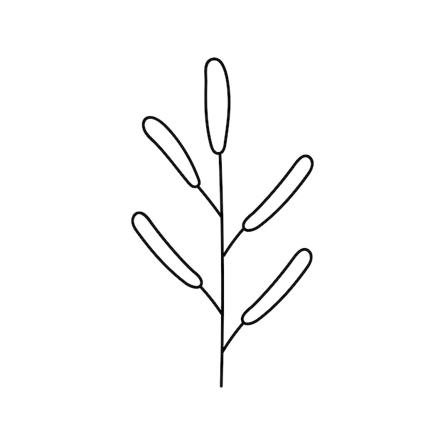 Hand drawn branch with leaves