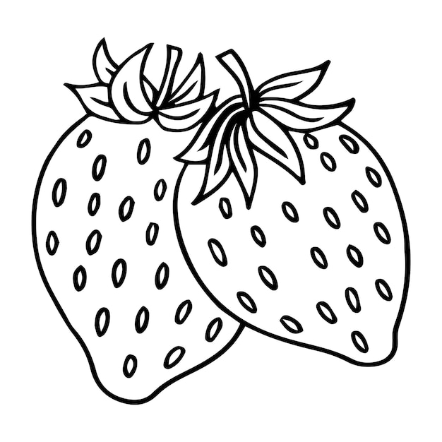 Hand drawn branch with two strawberries