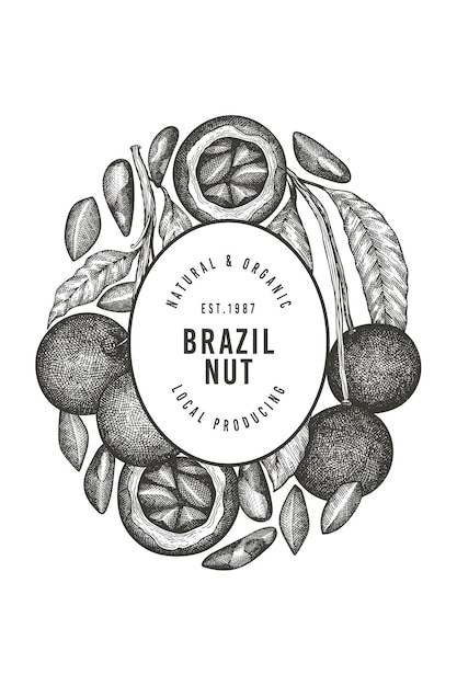手描きのブラジルナッツの枝とカーネルラベルテンプレート。