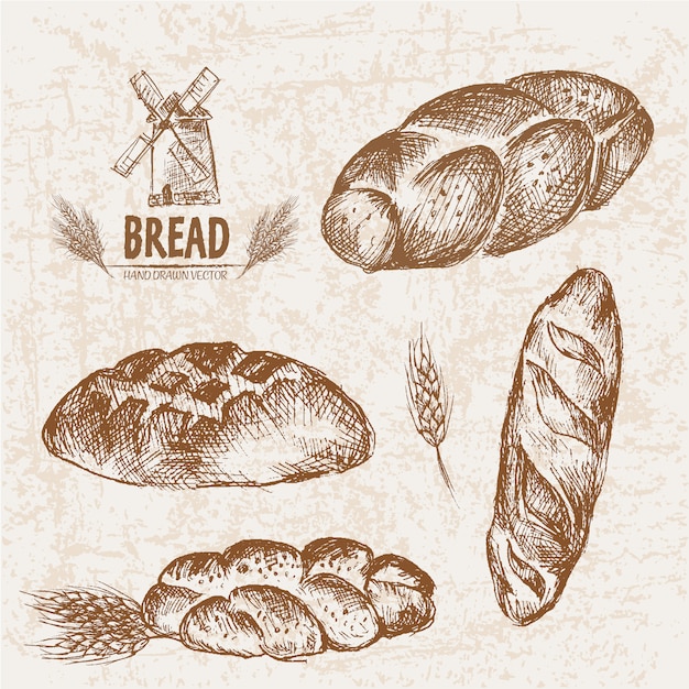 Vector hand drawn bread collection