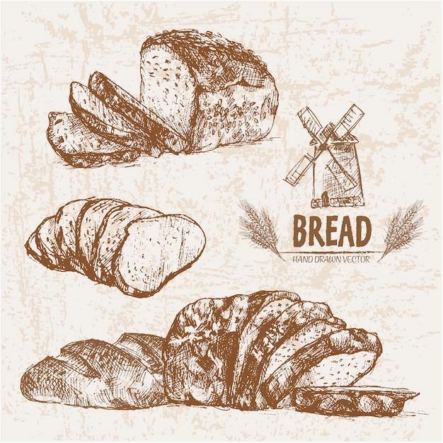 Vector hand drawn bread collection