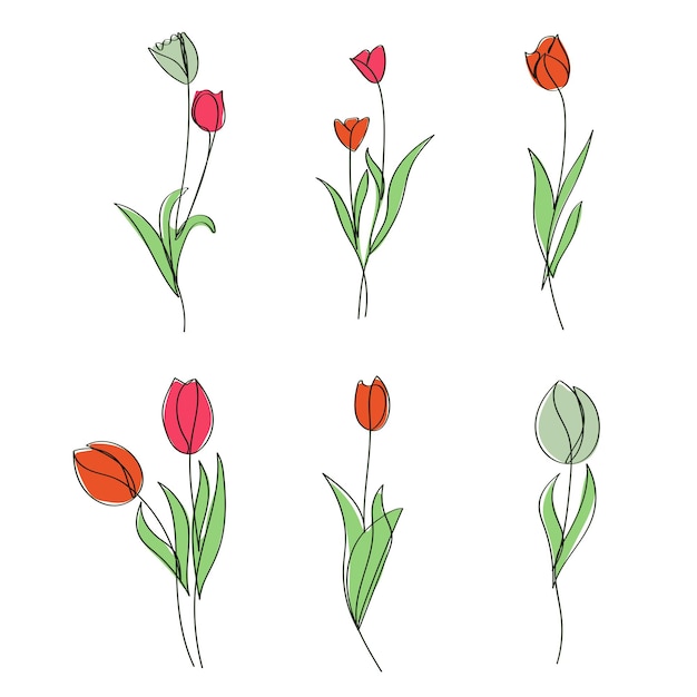 Hand-Drawn bright tulip flowers elegant one-line artwork