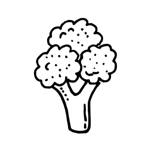 Hand drawn of broccoli.