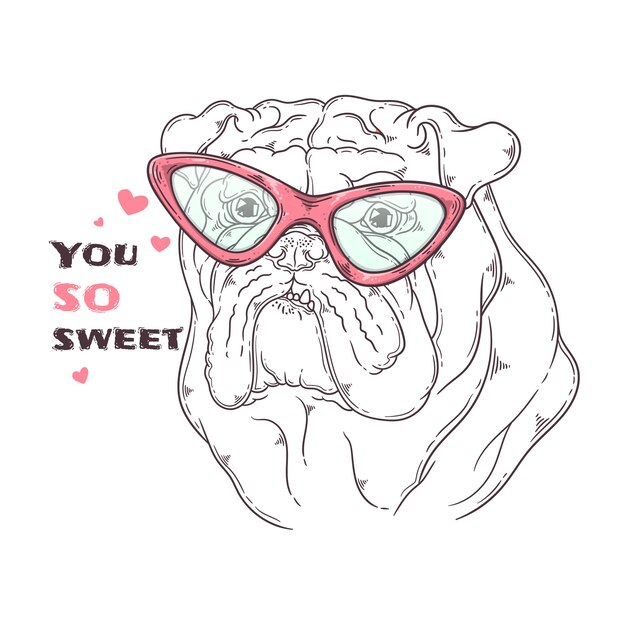 Vector hand drawn bulldog portrait with accessories