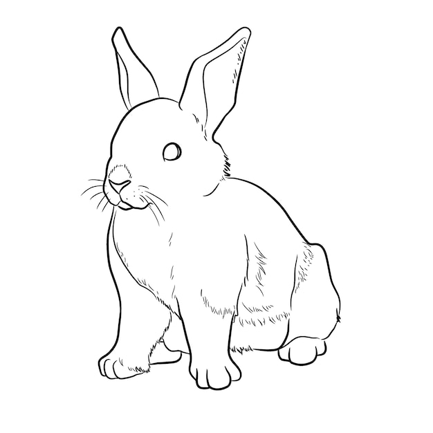 Vector hand drawn bunny outline illustration