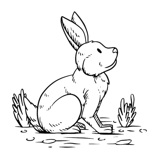 Hand drawn bunny outline illustration