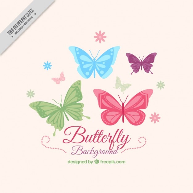 Hand drawn butterflies background with flowers