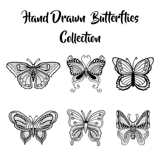 Hand drawn butterflies collection