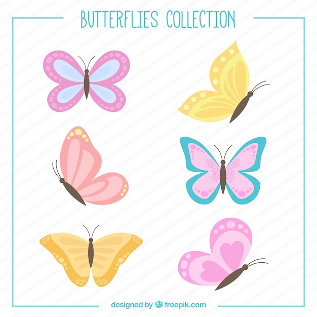 Vector hand drawn butterflies set