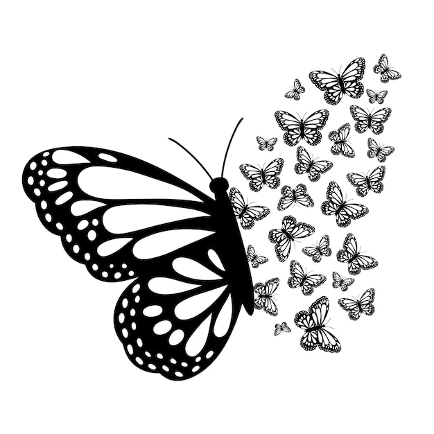 Hand drawn butterfly butterflies Black butterfly silhouette Vector illustration isolated