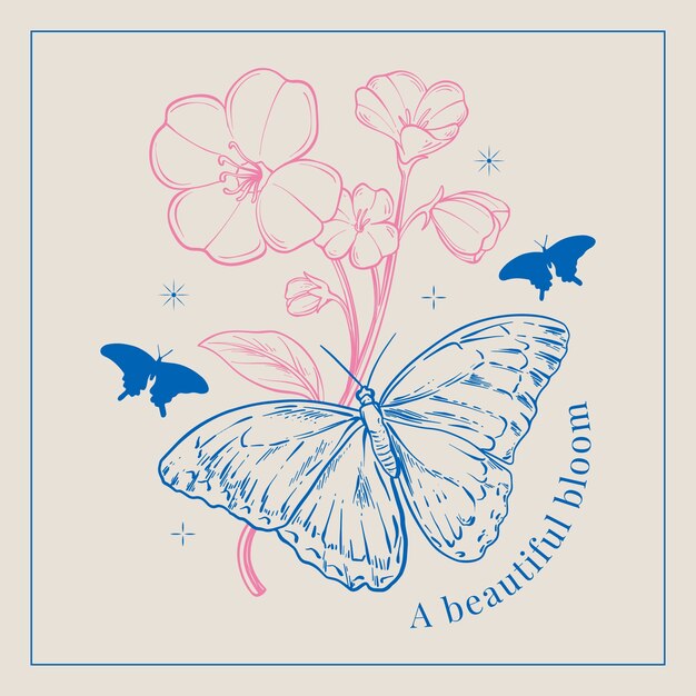 Vector hand drawn butterfly illustration