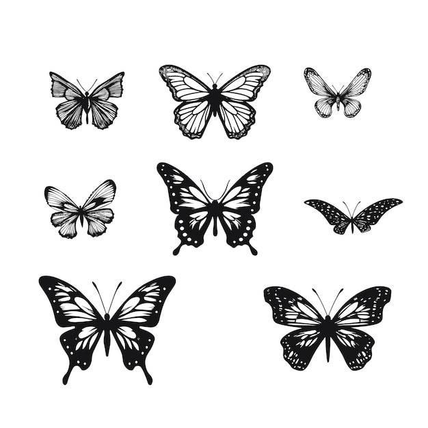 Vettore contorno di farfalla disegnato a mano su sfondo bianco