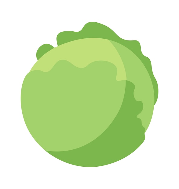 Hand drawn cabbage Food icon Vector illustration