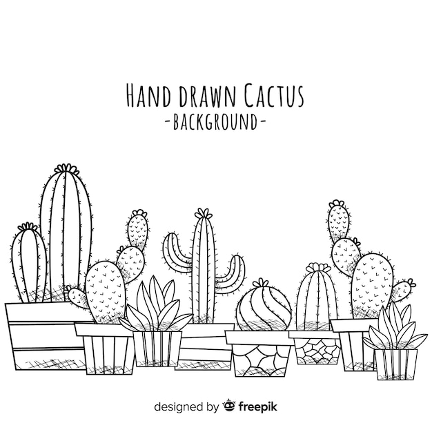 Vector hand drawn cactus background