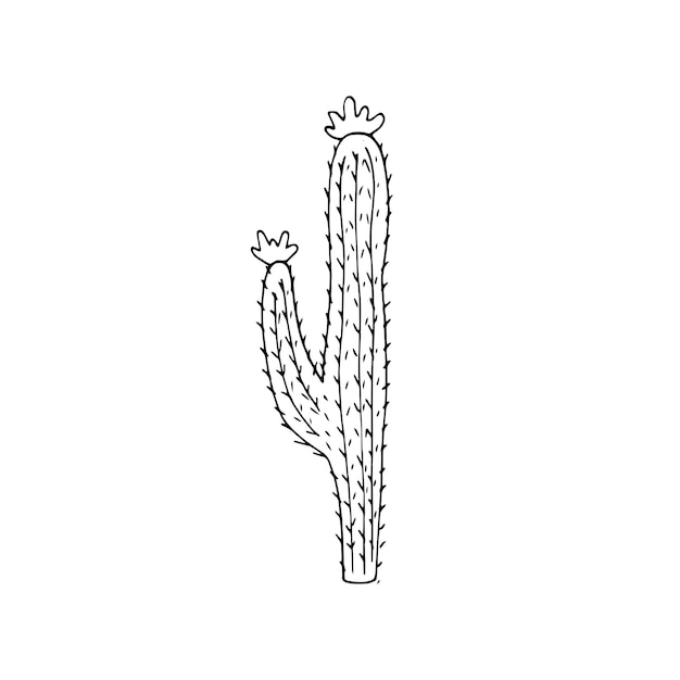 Вектор Иллюстрация кактуса, нарисованная вручную вектор иллюстрация кактуса с цветами, изолированными на белом фоне