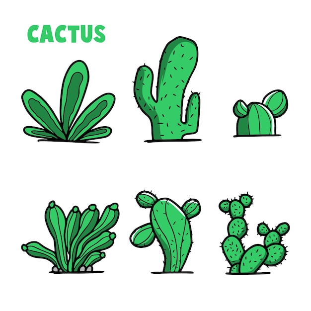 Vettore illustrazione disegnata a mano del cactus