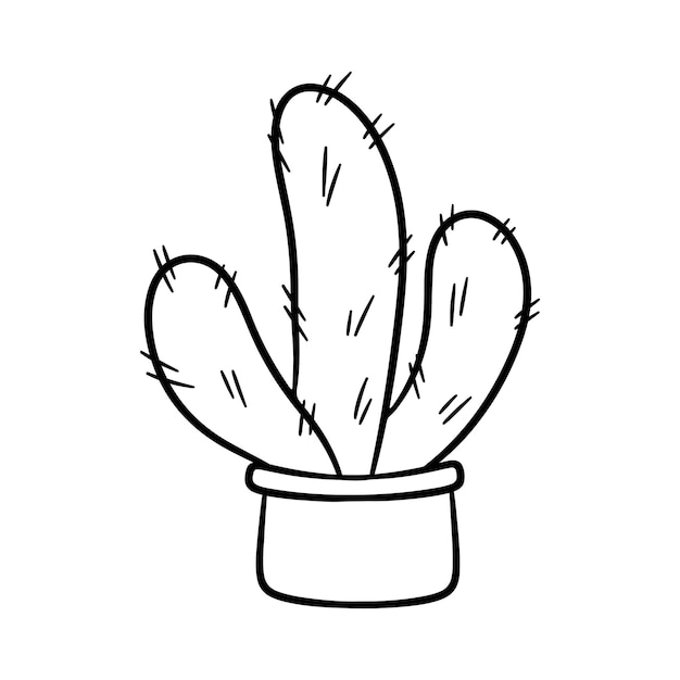 Cactus disegnato a mano in vaso