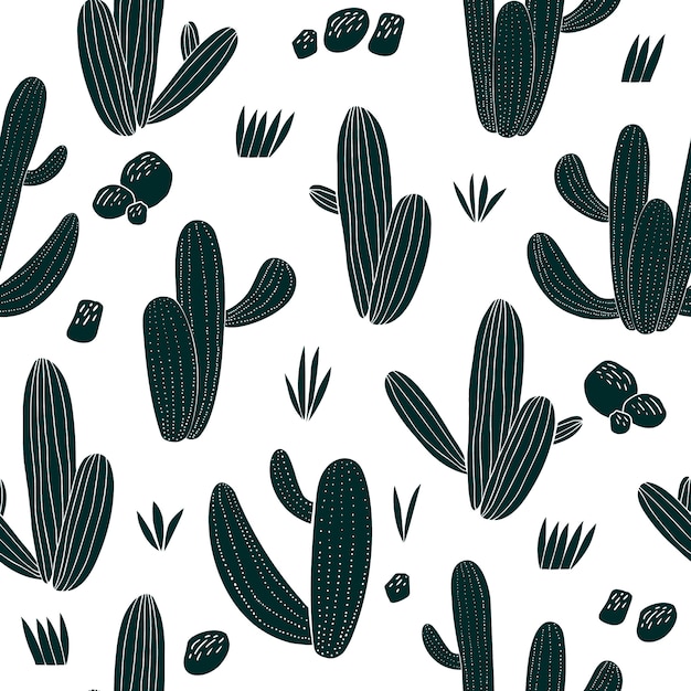 Modello senza cuciture di cactus disegnato a mano. piante botaniche africane