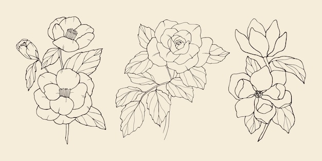 Hand drawn camellia rose magnolia branches