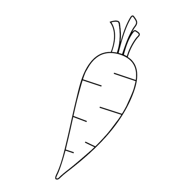 Vector hand drawn carrot line art on a white background