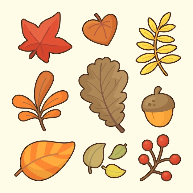 Vector hand drawn cartoon autumn leaves collection