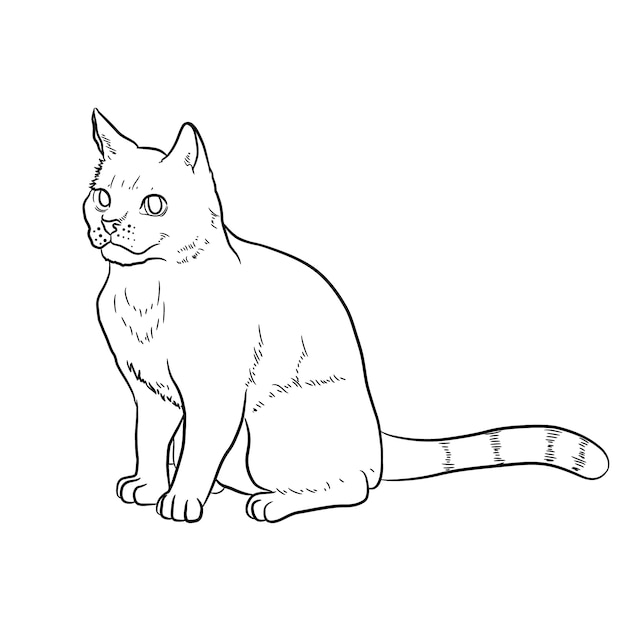 Hand drawn cat outline illustration