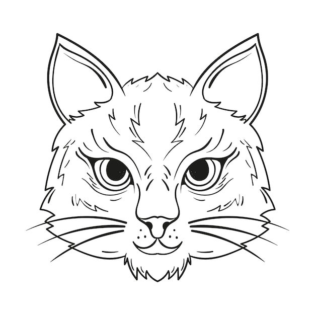 hand drawn cat outline illustration