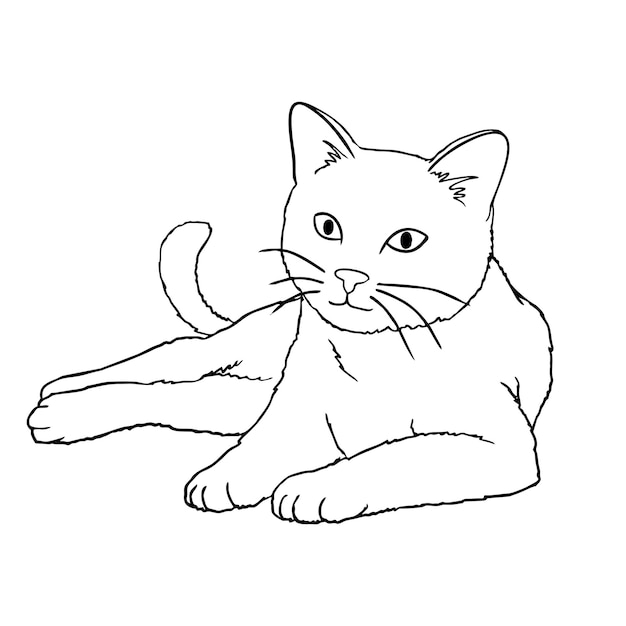Иллюстрация очертаний кошки, нарисованная вручную