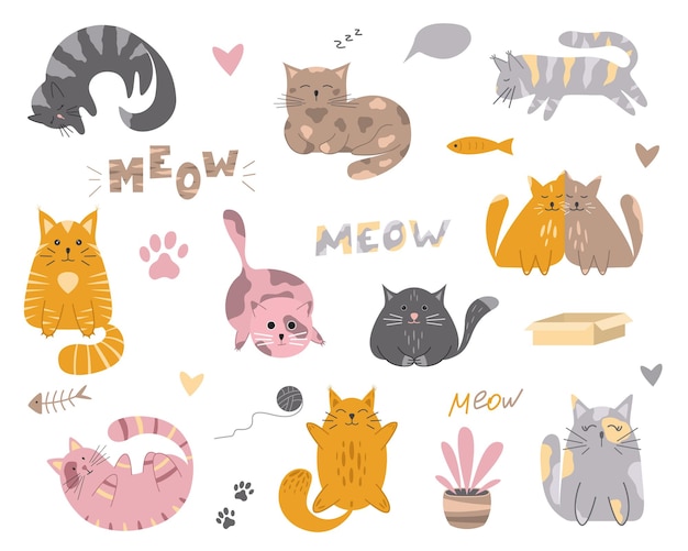 Hand drawn cat set