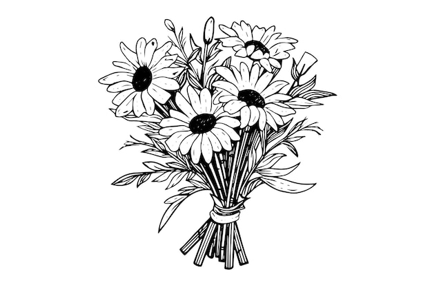 Vector hand drawn chamomile ink sketch daisy bouquet engraving vector illustration