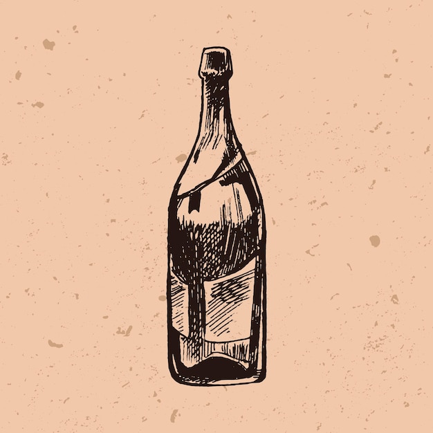 Hand drawn champagne bottle in engraving style ink sketch of alcoholic drink vector illustration