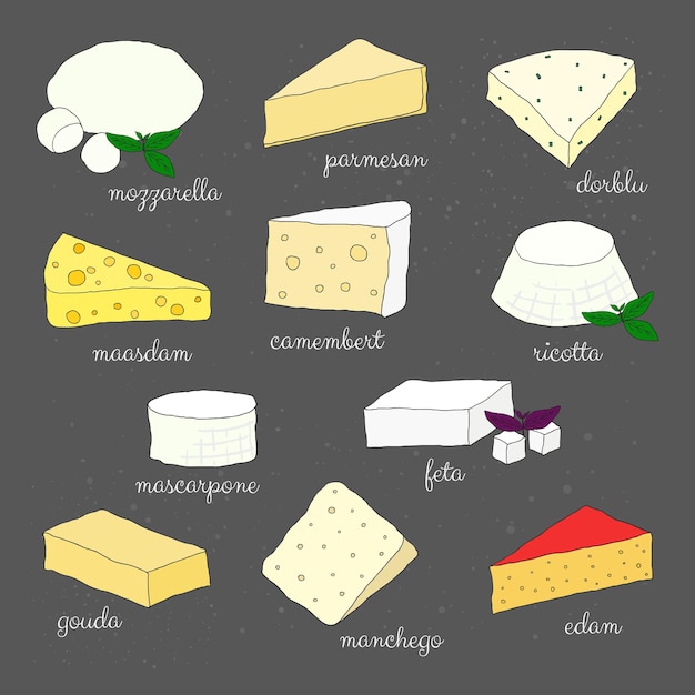 Vector hand drawn cheese