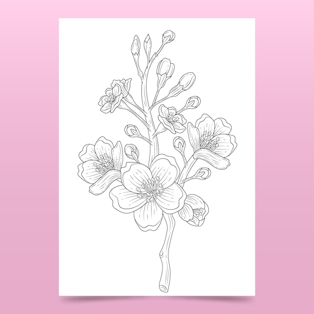 Vector hand drawn cherry blossom coloring page illustration