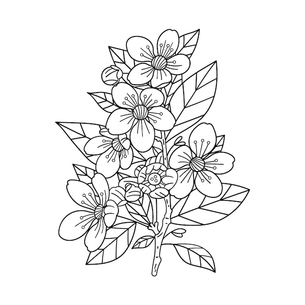 Vector hand drawn cherry blossom coloring page illustration