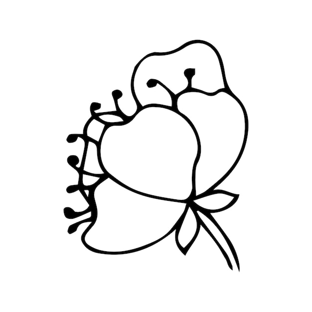 꽃과 손으로 그린 벚꽃 가지, 흑백 색칠하기 책. 사쿠라 식물 실루엣