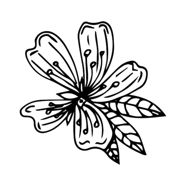 Rami di ciliegio disegnati a mano con fiori, libro da colorare in bianco e nero. sagoma di pianta di sakura