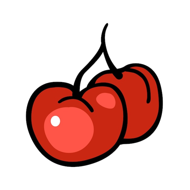 Hand drawn cherry illustration vector