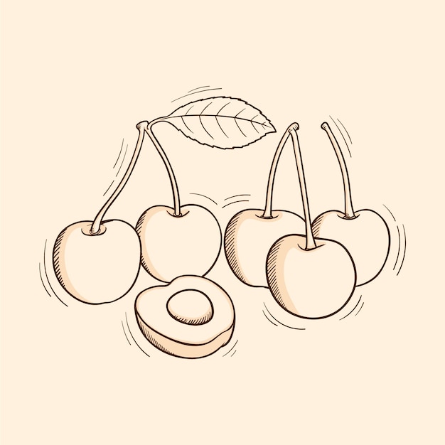 Vettore illustrazione disegnata a mano del profilo della ciliegia