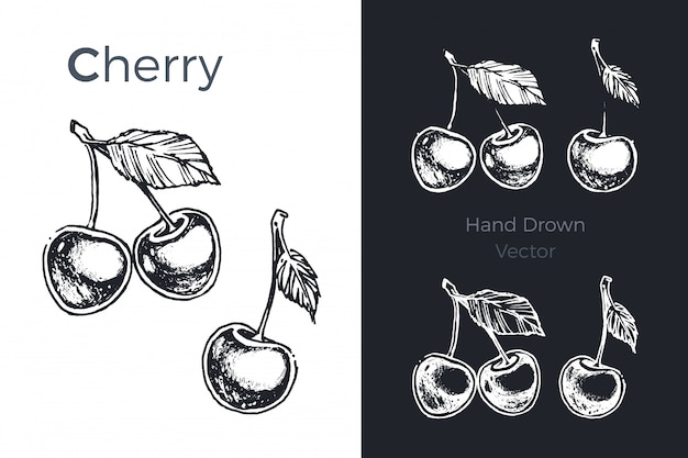 Vector hand drawn cherry set