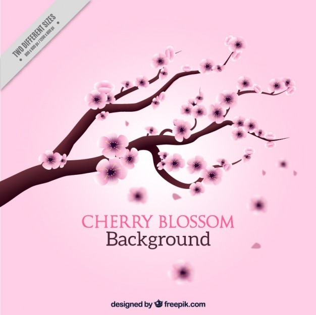 Vector hand drawn cherry tree on a pink background