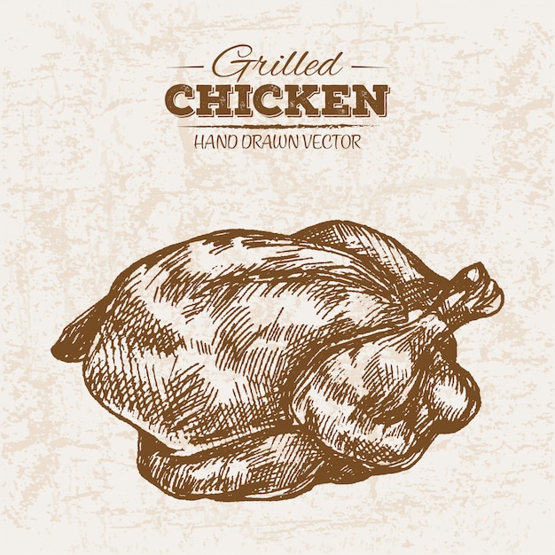 Hand drawn chicken meat