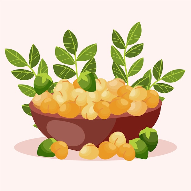 Vector hand drawn chickpea beans and plant