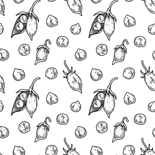 Hand drawn chickpeas seamless pattern Vector illustration in sketch style